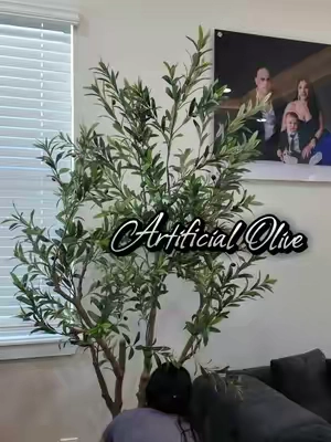 #olive #plantadeolivo #plants #artificialolivetree @Fancybatt 