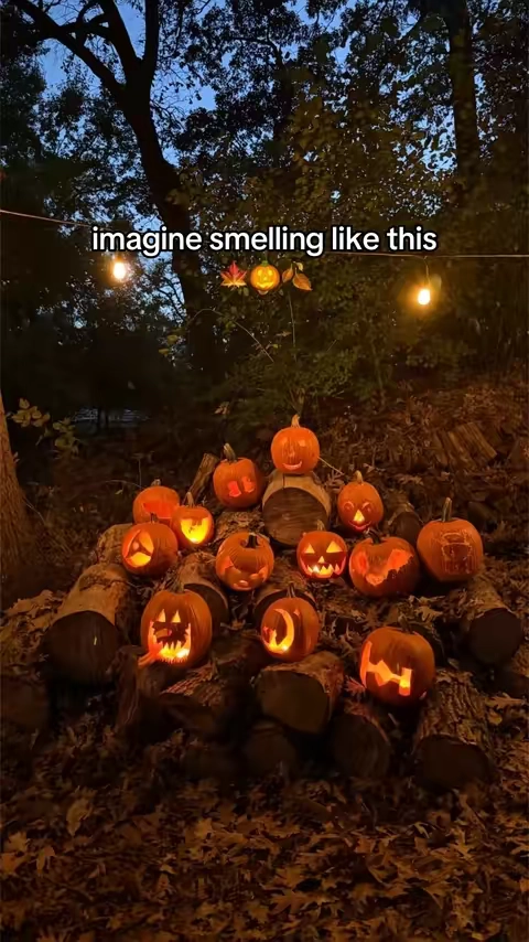 7672869542015569183