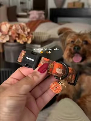 because dogs deserve fall accessories too 🤎 #dogcollar #falldogcollar #fallseason #dogmom #doglover 