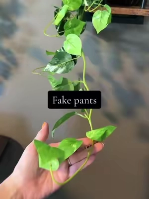 greenery adds a bit of coziness 🤍 #homedecor #fakeplants #artificialplants  #greenery #cozyhome 