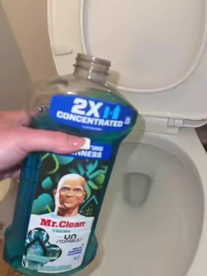 My favorite way to clean my toilets, smells amazing 