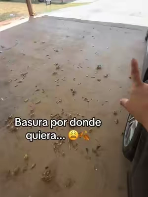 ¡Esto es casi todos los días! 😩🍂 Basura por donde quiera...  La verdad no quiero barrer ni estar tirando tanta agua, pero tampoco usar la sopladora pesada de mi esposo que ni prender quiere a veces. 😤 Con este soplador inalámbrico limpio todo en minutos  #limpiandopatio #sopladorinalambrico #tiktokshop #tanlookblower #adiosalaescoba  