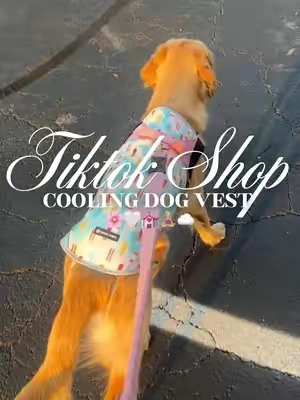Cooling dog vest 🌸🤍💒🧘🏼‍♀️☁️#fyp #dogvest #dogclothing #dogclothes #dogaccessories 