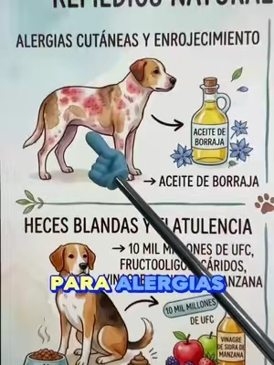 #TikTokshopbacktoschool #pet 