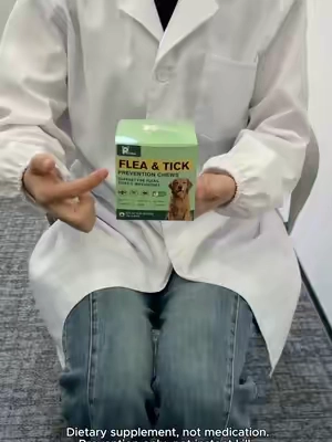 #TikTokshopbacktoschool #pet 