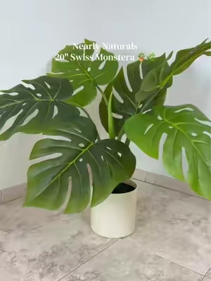 Looks so realistic 🤩 #monsteraplant #fauxplants #artificialplant #plants #TikTokShopCreatorPicks 