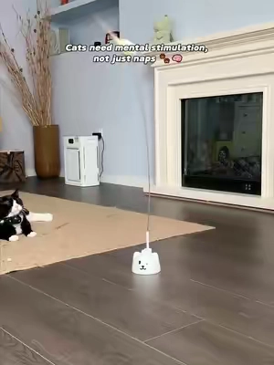 My Cat Ignored Every Toy… Until This One Moved #catpick  #catmoms   #catsofttiktok  #cattoy   #pettoys 
