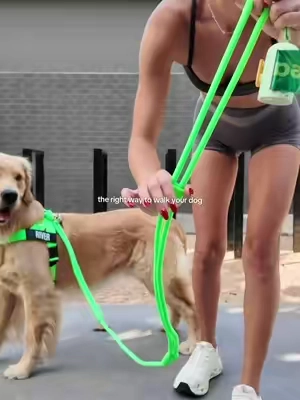it's game changing 🙌🏼🐾  #goldenretriever #petparents #wearedogfriendlyco #handsfree #dogleash