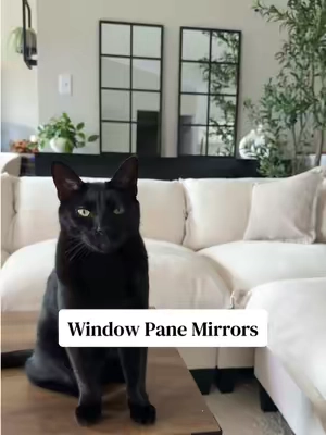 So cute & a great price! #homedecor #mirror #windowpanemirror #cozyhome #homedecorfinds 