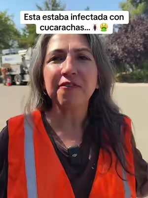 Esto ayuda a elįminar las cucarachas y pulgas de tu casa 