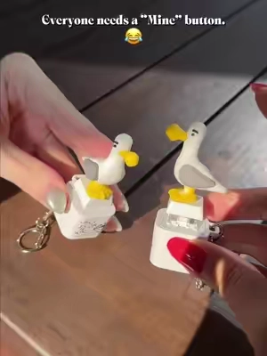 That sound lives rent-free in my head. Mine! Mine! Mine! 😍#seagull #button #keychain #StressRelief #fyppppppppppppppppppppppp 
