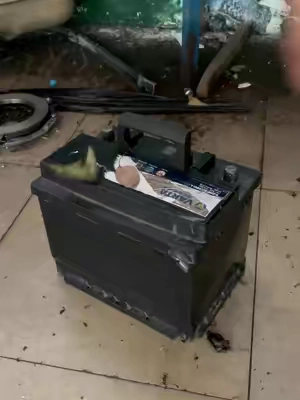 Cargador de baterías inteligente de 12 V/24 V#tiktok #tiktokshop 