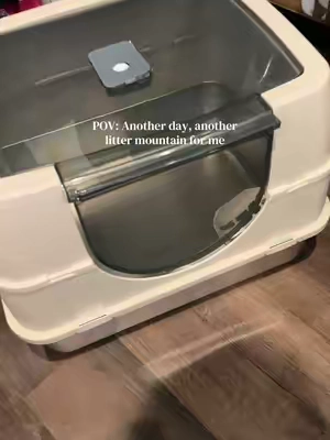 #cats #catsoftiktok #stainlesssteellitterbox 