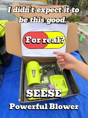 I didn’t expect it to be this good 😌 #SEESESuperBrandDay #carowners #CarCare #carwash #blower 