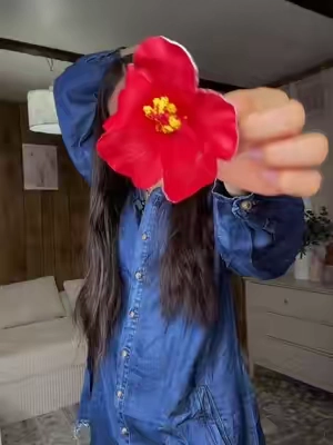 Paquete de nueve piezas de flores para el cabello #blackfriday #tiktokshopcreatorpicks #floresparaelcabello 