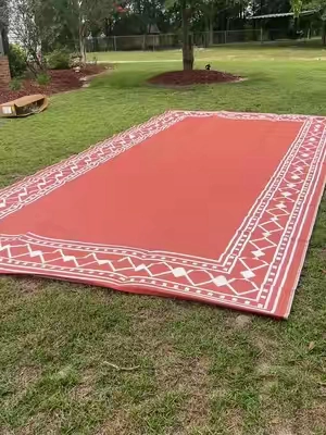 #outdoor rugs 