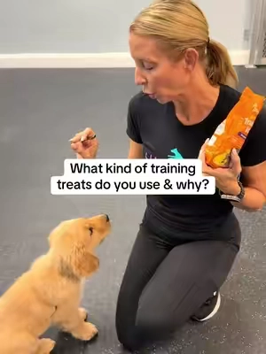 What kind of training treats do you use & why? @Zesty Paws #training #dogs #puppies #zestypaws 