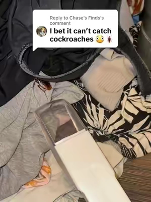 Replying to @Chase’s Finds Yes, it can absolutely catch and release cockroaches too! #pest #pestcontrol #roach #bug #bugs 