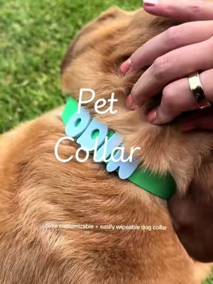 I’m in love with how cute these collars are for pets , I love how it’s so easily cleaned, you can customize it to fit you and your dogs personality with colors and charms. This is the perfect collar for my fur baby. #dogcollar #dogs #dogsoftiktok #doglover #dogcollars 
