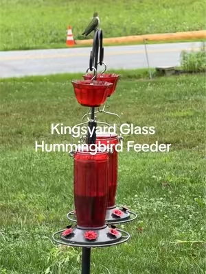 Want to attract more hummingbirds to your garden? 🐦❤️ The Kingsyard Glass Hummingbird Feeder features 6 feeding ports, a 16-ounce glass nectar bottle, an easy-to-clean wide-mouth design, a leak-resistant base, and an included ant moat to help keep nectar fresh. Pair it with nectar-rich flowers like zinnias, bee balm, and salvia to create a hummingbird-friendly garden they’ll keep coming back to. #HummingbirdFeeder #Hummingbirds #PollinatorGarden #BackToSchool  #Tiktokshopcreatorpicks 