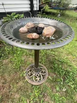 I love my bird bath ☺️ #birdbath 