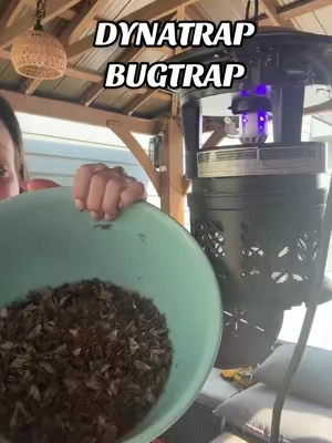 Replying to @QVC, Inc I’m just trying to enjoy my backyard without getting eaten alive 😭🦟 @QVC, Inc #bugtrap #dynatrap #mosquitos #mosquitohack #mosquitos 