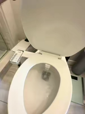 La mejor forma de limpiarse después de ir al baño es un bidet 