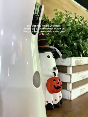 If I could take my dogs everywhere with me, I absolutely would. 🥹🐶 But when I have to leave them, my Furbo dog camera lets me check in, talk to them, and even send them treats while I’m away. Basically the ultimate pet camera with treat dispenser for obsessive dog moms who start missing their dogs five minutes after leaving the house. @Furbo Pet Camera #petproducts #dogaccessories #petsupplies #petcamera #tiktokshopcreatorpicks 
