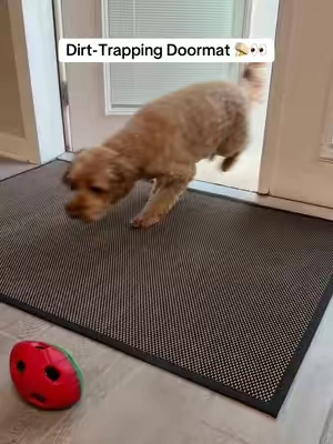 Why don’t all doormats do this..?🤯 #doormat #doormats #homeessentials #CleanTok #TikTokShopCreatorPicks 