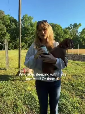 Prevention is so much easier instead of dealing with an infestation!! #fleaandtickprevention #fleaprevention #carmelie #doghealth #naturalpetcare 