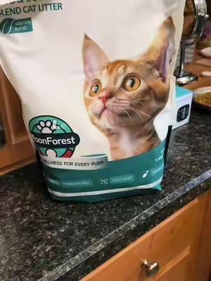 Cat litter that actually makes cleanup easier? 🐾🙌 This tofu & tapioca blend clumps quickly, helps control odors, and creates way less dust and mess around the litter box. Less sweeping for me and a fresher box for my kitty—definitely a win! 🐈‍⬛✨ #CatLitter #TofuCatLitter #CatMom #CatLife #CatTok