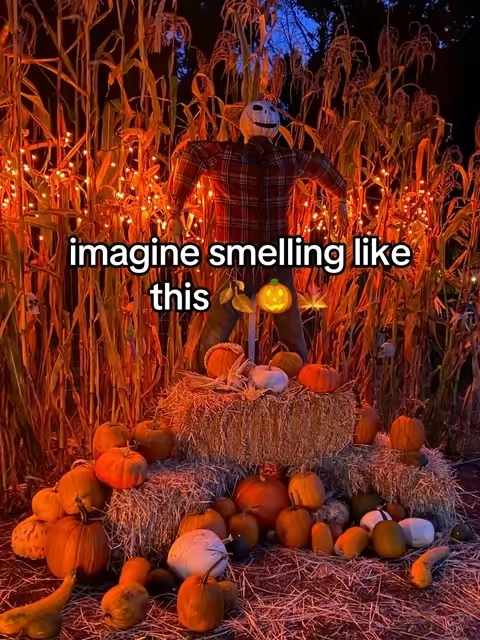 7673332583765216542