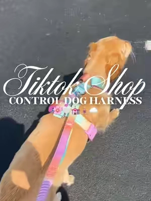Control dog harness 🌸🤍💒🧘🏼‍♀️☁️#fyp #dogharness #dogwalk #nopulldogharness #nopullharness 