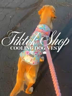 Cooling dog vest 🌸🤍💒🧘🏼‍♀️☁️#fyp #dogvest #dogaccessories #dogclothing #dogclothes 