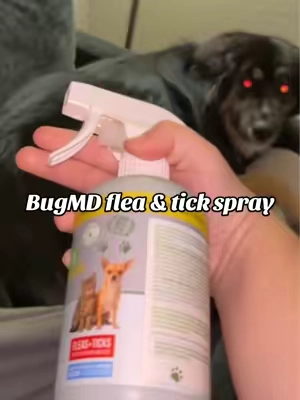 #stitch with @Key'Aria Watson #tickseason #fleaseason #bugmd #fleaandtickprevention 