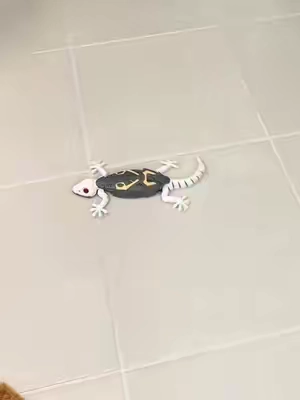 Ever heard of a wall crawling gecko… #toy #rc #giftsforkids #tiktokshopcreatorpicks #toysforkids 