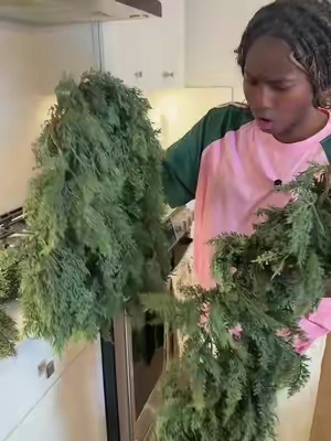 Save $$ this year and don’t overpay like I did #ChristmasGarland #RealTouchGarland #ChristmasDecor #HolidayDecor #garland 