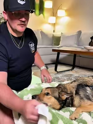 Keeps everything clean and protected! @Lesure Pet #petlovers #largedogessentials #petparentstyle #dogbeds #tiktokshopcreatorpicks 