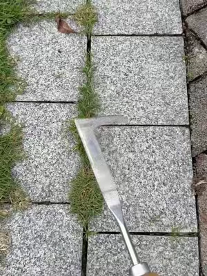 Do you still use butter knife,screwdriver and fire torch for this type grass in crevice? Check this All-in-One Weeding Warrior! Tame your home with ease. 🌿🛠️50% Off Limited Stock! Shop Now ❤️ Rock #GardeningHack #WeedingTool #MustHaveGadget #dealsforyoudays #SummerWins