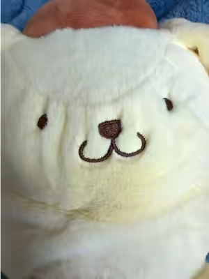 he’s my favorite warmie and is a trooper on day 1 😮‍💨👌#pompompurin #warmie #heatingpad #cramps 