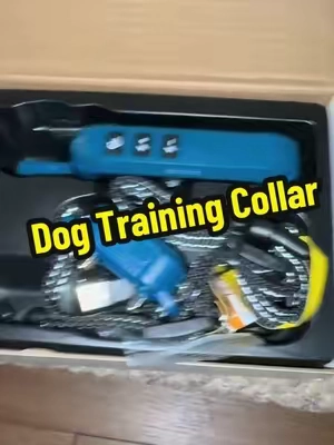 #trainingcollar #DogTraining #dogtrainingtips #labrador #dogtok 