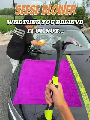 Believe it or not,this actually works…#carowners #CarCare #blower #carcaretips #SEESESuperBrandDay 