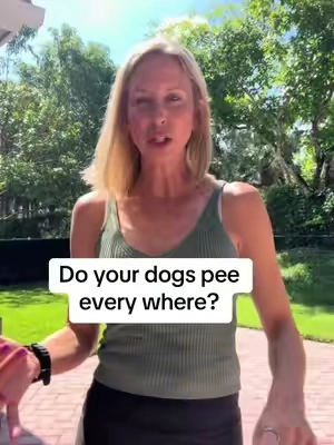 Do your dogs pee  every where? Same! #dogs #dogsoftiktok 