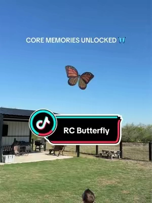 Their reactions were worth every penny 😭 #RCbutterfly #butterfly #remotecontroltoy #tiktokshopcreatorpicks 