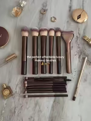 just a plus that they’re pretty 🧸✨🤎 #makeup #makeupbrushes #grwm #chic #itgirl makeup brush kit set affordable chic aesthetic clean girl tuscan 2000s makeup