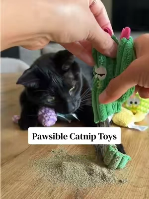 My cats LOVE these! And the little 🌵 are so cute! #catnip #catniptoys #cattoys #catenrichment #cats 