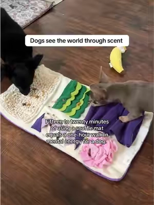 It works their brains hard!! Worth every penny 🤍#dogenrichment #dogmom #snufflemat #dogtoy 