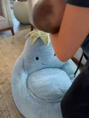 eggplant bean bag chair. The one i have is the 31" size