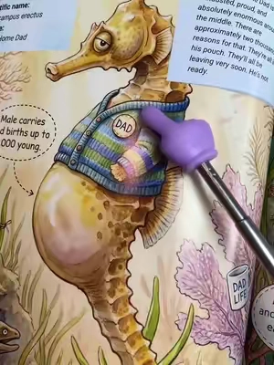 Such a cool book #thesecretjobsofoceancreatures #deepseacreature #kidsbook #clairemonroe @Claire Monroe Books 