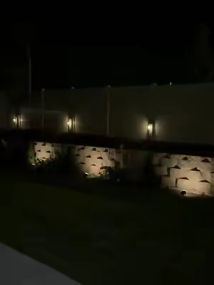 Solar powered yard lights #tiktokshopcreatorpicks #yardlights #curbappeal #solarlights #yardwork 